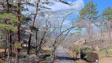 やながわ希望の森公園のライブカメラ|福島県伊達市