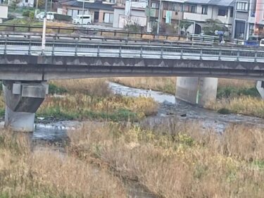 紫川 桜橋上のライブカメラ|福岡県北九州市
