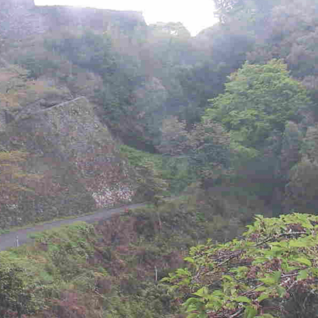 岡城址大手門 岡城址大手門