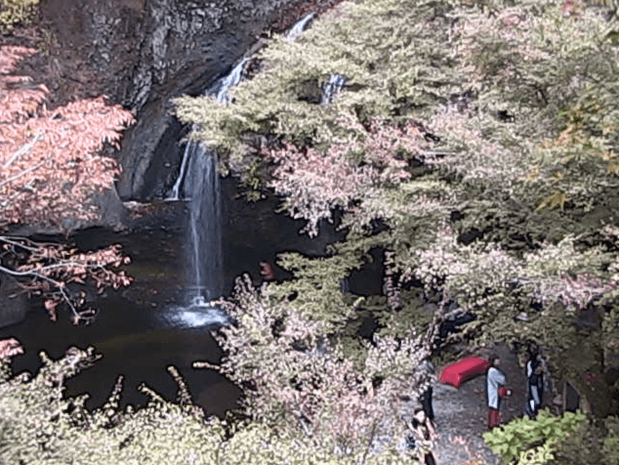 tsukimachinotaki_cap 月待の滝のライブカメラ|茨城県久慈郡大子町