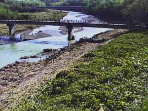滋賀県彦根市 犬上川 今橋のライブカメラ
