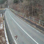 国道191号深入山のライブカメラ|広島県山県郡安芸太田町のサムネイル