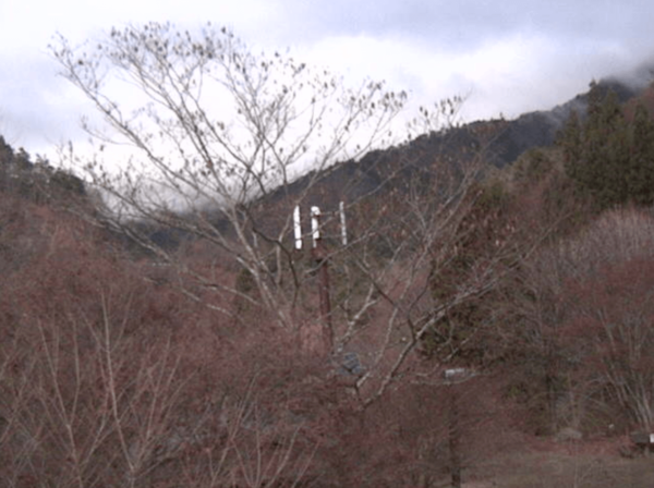 山のふるさと村のライブカメラ|東京都西多摩郡奥多摩町