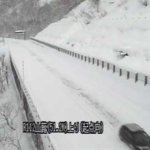 国道112号山蕗のライブカメラ|山形県西川町のサムネイル