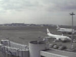 JAL羽田空港(東京国際空港)4番のライブカメラ|東京都大田区のサムネイル