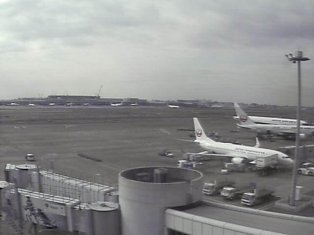 JAL羽田空港(東京国際空港)4番のライブカメラ|東京都大田区