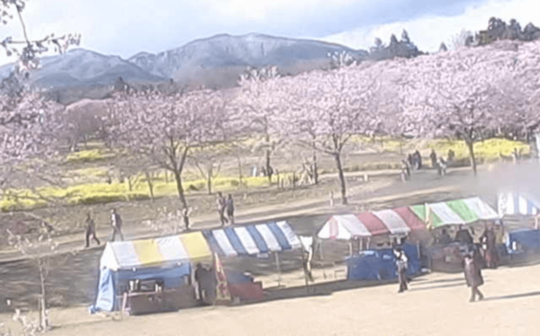 赤城南面千本桜のライブカメラ|群馬県前橋市