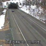 国道333号 遠軽町旭野トンネル生田原側のライブカメラ|北海道遠軽町のサムネイル