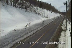 北海道音威子府村 国道40号 音威子府村咲来のライブカメラ