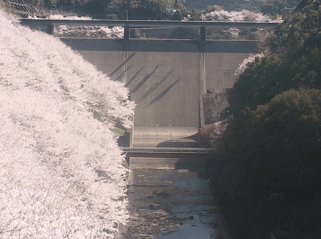 shimanose-dam_cap shimanose-dam_cap