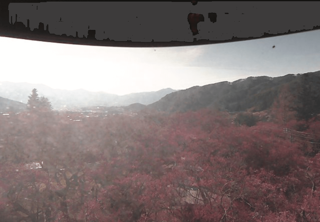 高遠城址公園のライブカメラ 長野県伊那市