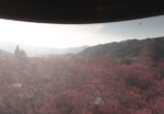 高遠閣から高遠城址公園のライブカメラ|長野県伊那市のサムネイル