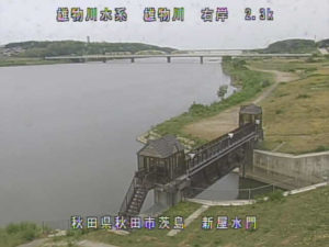 秋田県秋田市 雄物川 右岸 新屋水門のライブカメラ