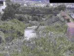 葛城川 橿原市曲川のライブカメラ|奈良県橿原市のサムネイル