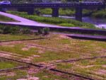 天野川 息長橋のライブカメラ|滋賀県米原市のサムネイル