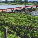 愛知川 御幸橋のライブカメラ|滋賀県愛荘町のサムネイル