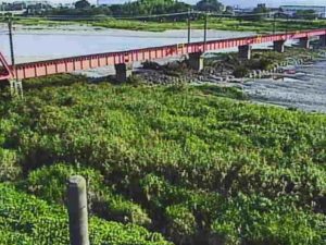 滋賀県愛荘町 愛知川 御幸橋のライブカメラ
