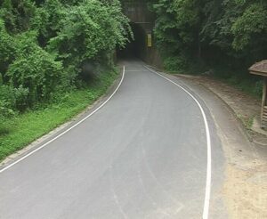 愛媛県西予市 愛媛県道31号 歯長隧道(西予市)のライブカメラ