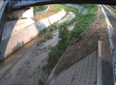 穂谷川 出屋敷歩道橋のライブカメラ|大阪府枚方市