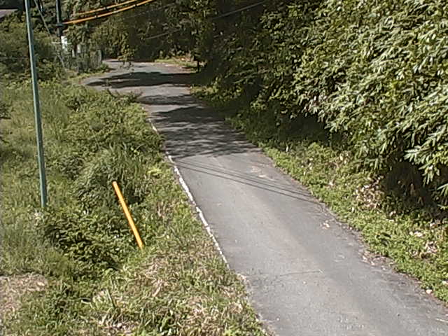 misato-forest-line-yudanikamiyama-yundani_cap misato-forest-line-yudanikamiyama-yundani_cap