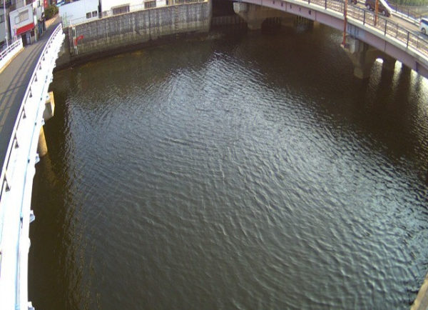 neyagawa-shigita-ohashi_cap.jpg neyagawa-shigita-ohashi_cap.jpg