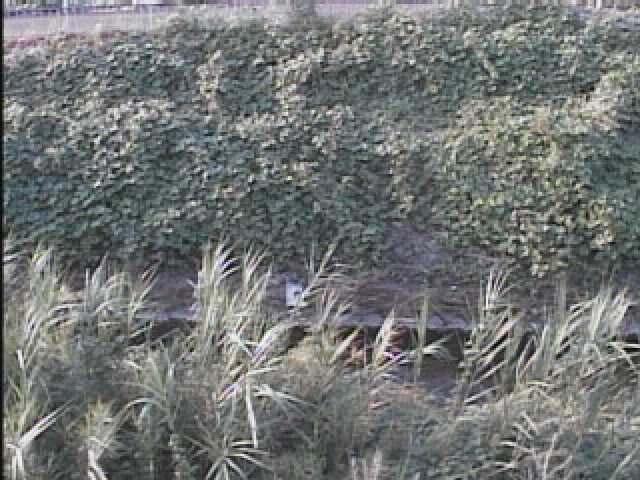 nyozegawa-tendo-bridge_cap.jpg nyozegawa-tendo-bridge_cap.jpg