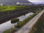 大谷川 八幡観測所のライブカメラ|京都府八幡市のサムネイル