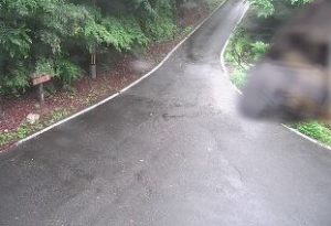 福島県浪江町 福島県道253号 落合浪江線A1のライブカメラ