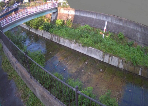 tenjikugawa-nozomi-bridge_cap.jpg tenjikugawa-nozomi-bridge_cap.jpg