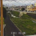 天神川 桂小橋のライブカメラ|京都府京都市のサムネイル