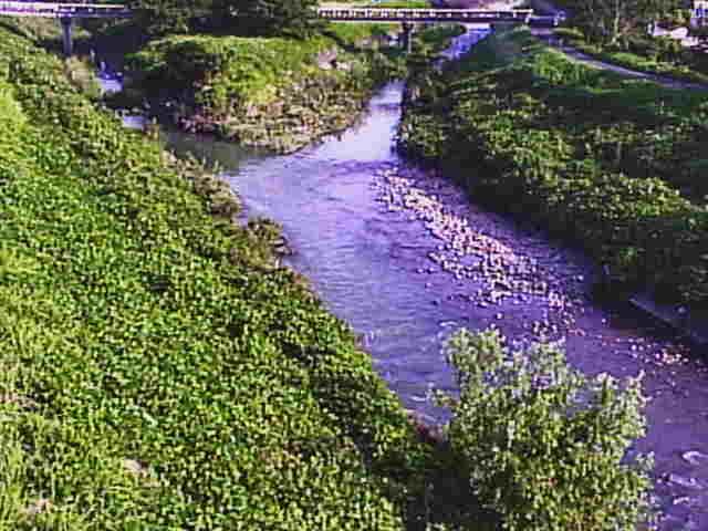 usogawa-shimagawa_cap.jpg usogawa-shimagawa_cap.jpg