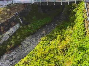滋賀県彦根市 矢倉川 高根橋のライブカメラ