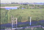 野洲川 服部大橋左岸のライブカメラ|滋賀県守山市のサムネイル