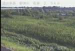 野洲川 服部大橋上流右岸のライブカメラ|滋賀県守山市のサムネイル