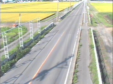 国道101号 森田のライブカメラ|青森県つがる市