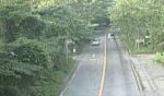 国道138号 籠坂峠のライブカメラ|山梨県山中湖村のサムネイル