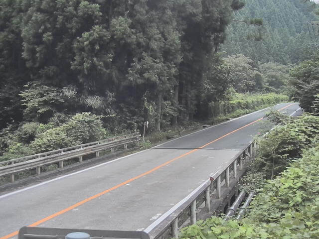 route186-tsutsuga_cap.jpg route186-tsutsuga_cap.jpg