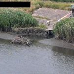 新芝川 青木水門のライブカメラ|埼玉県川口市のサムネイル