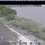 渡良瀬川 渡良瀬遊水地・想い出橋のライブカメラ|群馬県板倉町のサムネイル