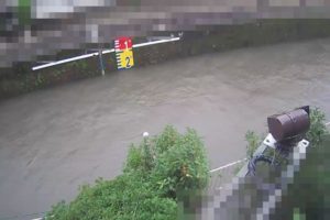 東京都杉並区 善福寺川 松見橋のライブカメラ