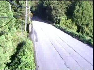 福井県大野市 国道158号 牛ヶ原(西)のライブカメラ