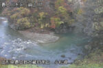 銅山川 小松淵のライブカメラ|山形県大蔵村のサムネイル