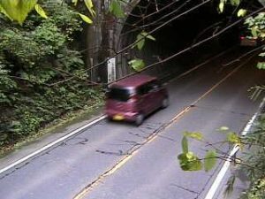 京都府舞鶴市 京都府道28号 森のライブカメラ