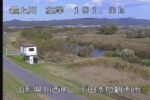 最上川 下田観測所のライブカメラ|山形県川西町のサムネイル