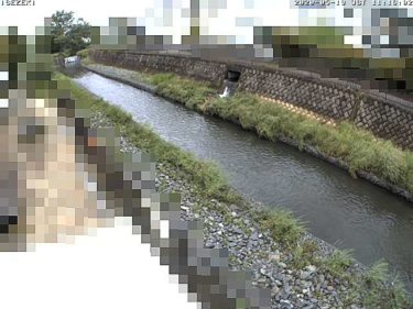 阿久和川 伊勢堰橋のライブカメラ|神奈川県横浜市のサムネイル