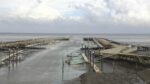 有明海 新有明漁港のライブカメラ|佐賀県白石町のサムネイル