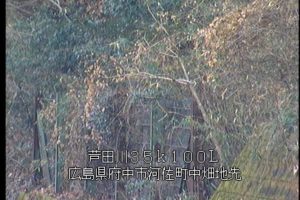 広島県府中市 芦田川 府中市中畑のライブカメラ