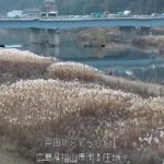 芦田川 福山市南本庄のライブカメラ|広島県福山市のサムネイル