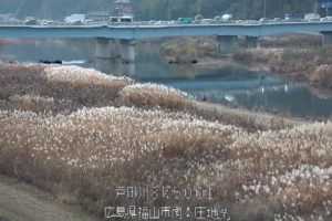 広島県福山市 芦田川 福山市南本庄のライブカメラ