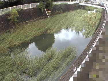 平戸永谷川 外郷橋のライブカメラ|神奈川県横浜市のサムネイル